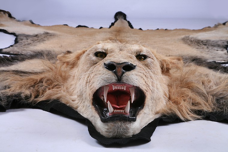 Rug Mount